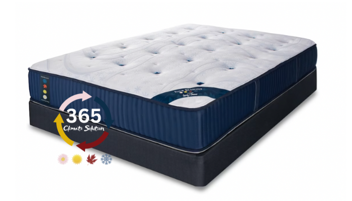 luxury mattresses